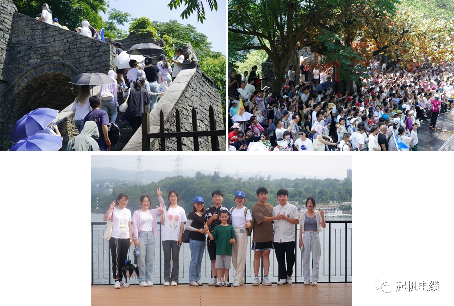 起帆电缆“走进起帆 传承关爱”员工子女研学活动圆满落幕(图12)